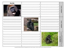 Leporello-Gorilla-1-1-2.pdf